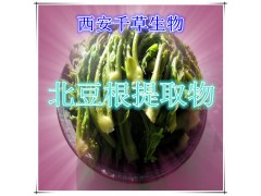 北豆根提取物水溶粉