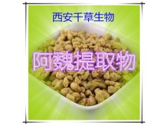 阿魏提取物水溶粉