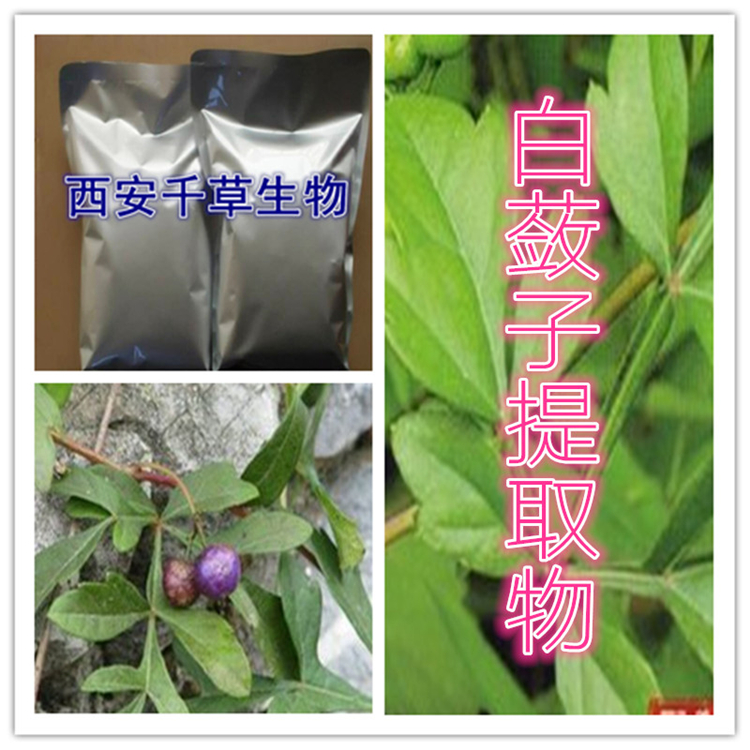 鸡中金提取物原粉