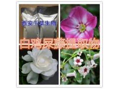 白鸡屎藤提取物水溶粉