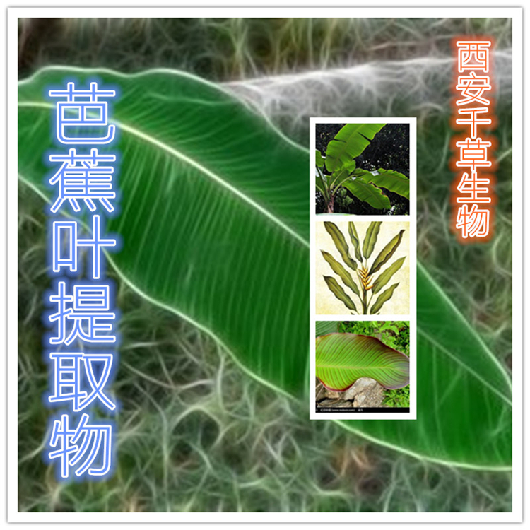 鸡食皮提取物原粉