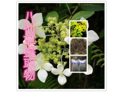 八仙草提取物水溶粉