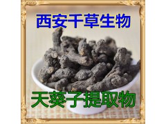 天葵子提取物水溶粉