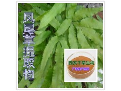 凤尾草提取物水溶粉