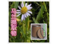 马兰提取物水溶粉