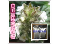 白毛夏枯草提取物水溶粉