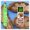 大血藤提取物水溶粉