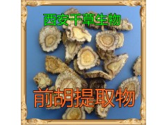 前胡提取物水溶粉