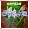 白前提取物水溶粉