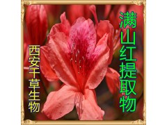 满山红提取物水溶粉