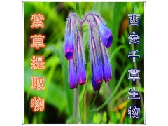 紫苑提取物水溶粉