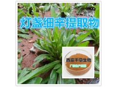 灯盏细辛提取物水溶粉
