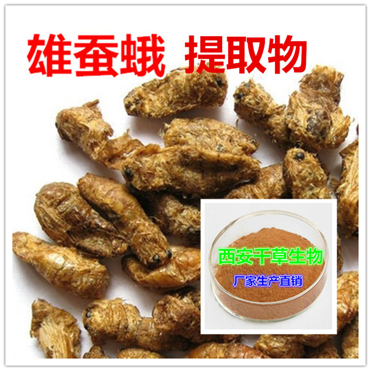 原蚕蛾提取物水溶粉