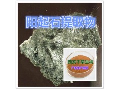 阳起石提取物水溶粉
