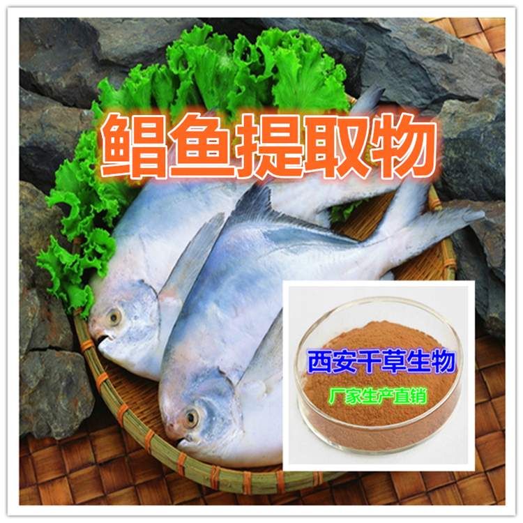 鲳鱼提取物水溶粉