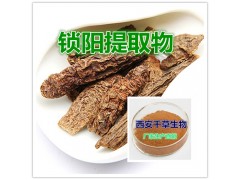 锁阳提取物水溶粉