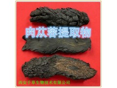 肉苁蓉提取物水溶粉