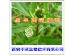 墨旱莲提取物水溶粉