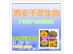 野菊花提取物水溶粉