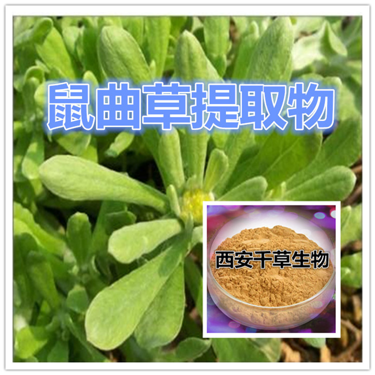 鼠妇提取物水溶粉