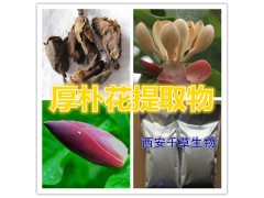 厚朴花提取物水溶粉