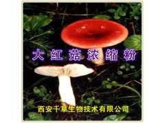 大花椒提取物原粉