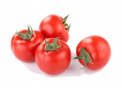 Tomato extract