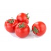 Tomato extract