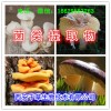 菌桂提取物原粉