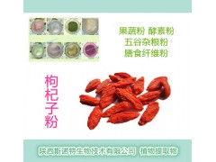 枸杞粉 宁夏枸杞种植基地正宗枸杞粉 厂家现货直销