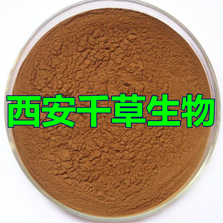 大粉末_副本