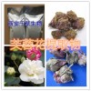 芙蓉花纯天然提取物全水溶厂家直销
