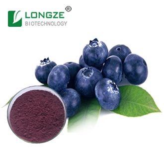 越橘提取物Bilberry Extract