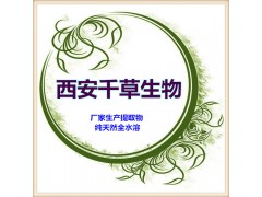 阿魏提取物粉纯天然全水溶厂家生产