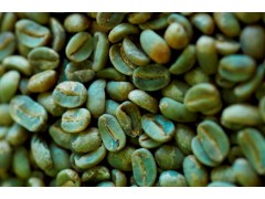 Green Coffee Bean Extract