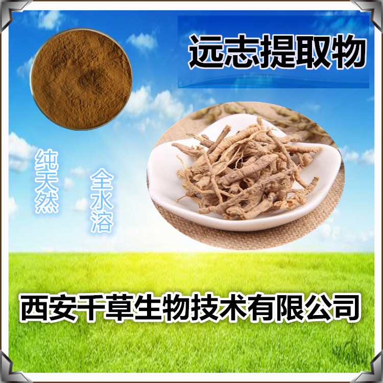 远志提取物