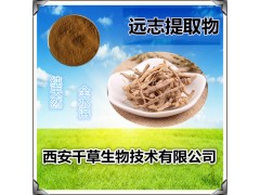 远志提取物 浓缩粉 浸膏粉 水溶粉厂家生产远志粉