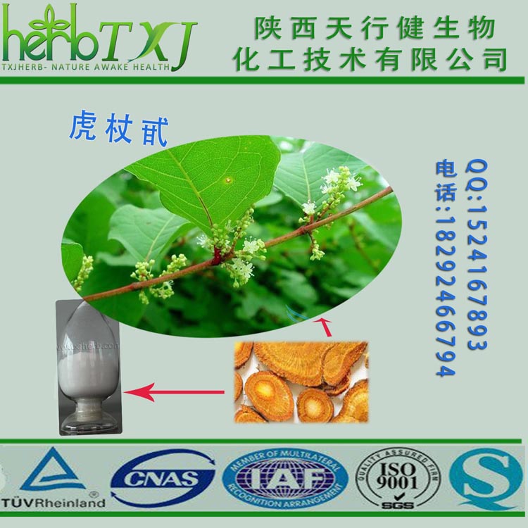 虎杖提取物 虎杖甙 虎杖苷90% HPLC检测SC厂家直供 最新虎杖苷价格