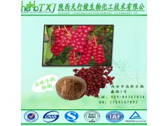 五味子提取物 五味子甲素1% 南五味子 增强免疫型保健品添加剂 SC证老厂现货直销 HPLC检测保质保量