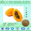 木瓜提取物4:1 木瓜粉 SC证天行健厂家直供 饮料香料食品添加剂 量大从优