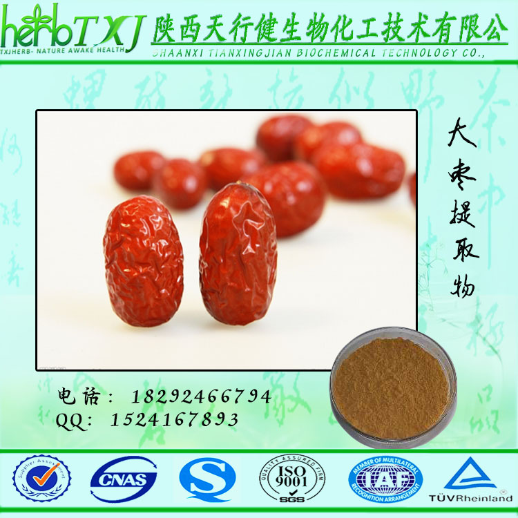 大枣纯粉 厂家直供食品保健品优质原料