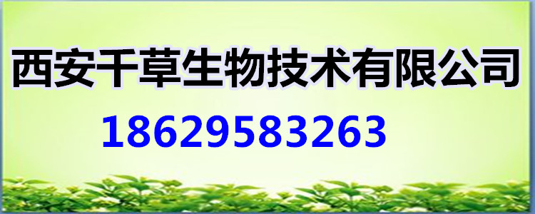 公用