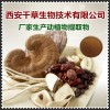 贯众提取物厂家生产