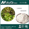 二氢杨梅素黄酮 98% 天然藤茶提取物  二氢杨梅素