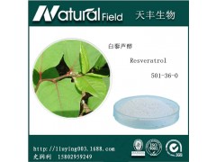 虎杖提取物  天然白藜芦醇50%