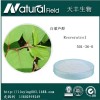 虎杖提取物  天然白藜芦醇50%