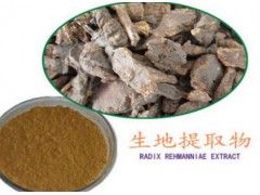 生地提取物 10:1 生地黄提取物