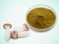 杏鲍菇提取物 杏鲍菇粉 多糖