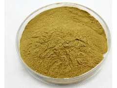 蒲公英提取物 蒲公英黄酮