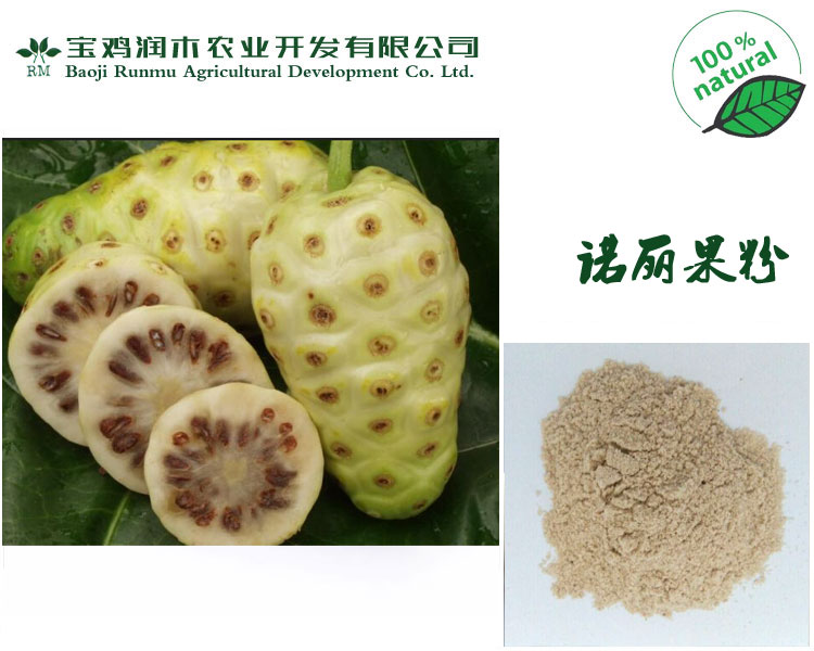 厂家供应诺丽果提取物 诺丽果粉 纯天然诺丽果提取物 量大
